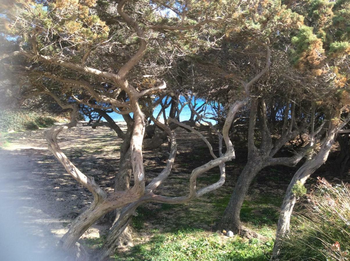 Casa Cristina Olbia Costa Smeralda Murta Maria Kültér fotó